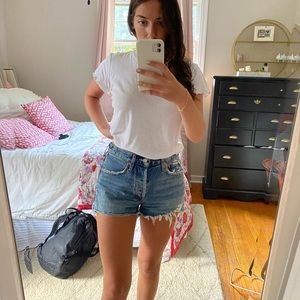 AGOLDE Parker Shorts in lowkey